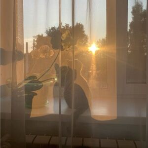 Meet your Posher, Cassandra